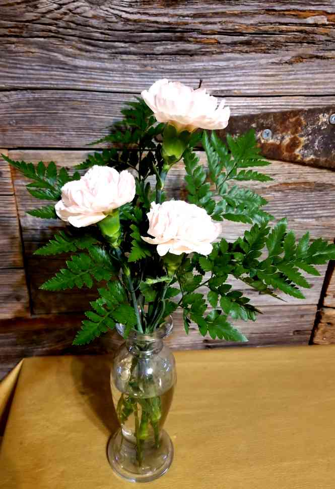 Pale pink carnations with greenery.
